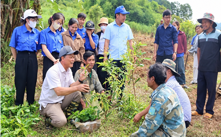 Quảng Ngãi đổi mới cách làm, nâng hiệu quả phát triển vùng đồng bào dân tộc thiểu số - Ảnh 1.