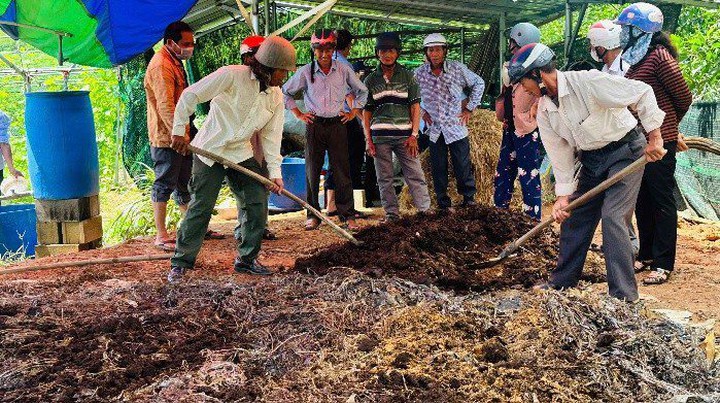 Biến phế phụ phẩm n&ocirc;ng nghiệp th&agrave;nh nguồn ph&acirc;n b&oacute;n tại chỗ - Ảnh 1.