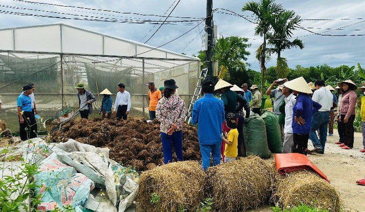 Biến phế phụ phẩm n&ocirc;ng nghiệp th&agrave;nh nguồn ph&acirc;n b&oacute;n tại chỗ - Ảnh 3.