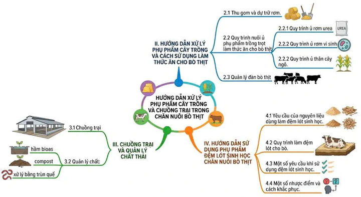 Công nghệ sinh học nâng giá trị phụ phẩm nông nghiệp- Ảnh 1.