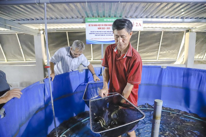 C&ocirc;ng nghệ sinh học mở hướng bảo tồn v&agrave; ph&aacute;t triển c&aacute; ch&igrave;nh mun- Ảnh 1.