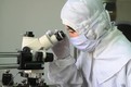 Legislative body approves Law on Science, Technology and Innovation