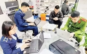 Viet Nam determined to strictly handle all intellectual property rights violations