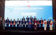 Việt Nam - Singapore thảo luận 05 nội dung trọng tâm hợp tác về KHCN, ĐMST&CĐS