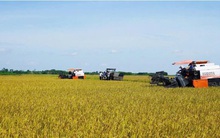 Quảng Trị: Xây dựng nông thôn mới tạo nền tảng phát triển bền vững sau sáp nhập