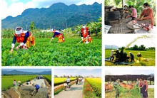 Trùng Khánh huy động nguồn lực xây dựng nông thôn mới