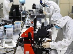 Network of Vietnamese AI experts takes shape