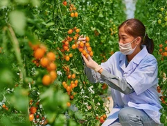 Law opens new development spaces for Vietnam’s technology firms