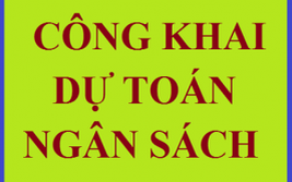 Dự toán ngân sách năm đã được cấp có thẩm quyền giao