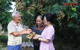 Nông thôn mới Hưng Yên chuyển mình cùng chính quyền địa phương 2 cấp