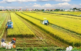 Cần Thơ đẩy mạnh ứng dụng khoa học và công nghệ thúc đẩy chuyển đổi xanh, phát triển bền vững