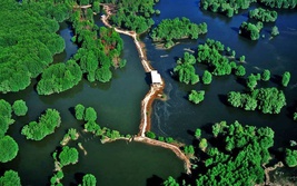 Thông tin nghiệm thu nhiệm vụ KH&CN cấp quốc gia mã số ĐTĐL.CN.34/21