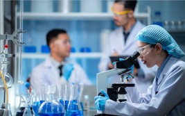 Tiêu chí tuyển chọn, chế độ đối với Tổng công trình sư, Kiến trúc sư trưởng KH&CN