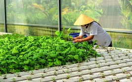 Chuyển đổi số, ứng dụng công nghệ đẩy nhanh giảm nghèo bền vững