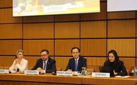 Việt Nam tham vấn về Hội nghị kiểm điểm Hiệp ước Không phổ biến vũ khí hạt nhân lần thứ 11 tại Vienna, Áo