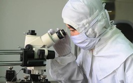 Legislative body approves Law on Science, Technology and Innovation