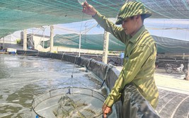 Chuyển đổi số trong nông nghiệp: Con đường thoát nghèo bền vững cho nông dân