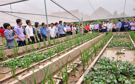 Hội Nông dân Ninh Bình tổ chức truyền thông về Chương trình mục tiêu quốc gia xây dựng nông thôn mới