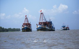 Bình Thuận khai thác hải sản gắn với phòng, chống khai thác IUU