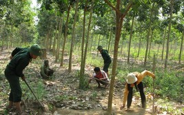 Dân vận góp phần làm chuyển biến vùng đồng bào dân tộc thiểu số tỉnh Kon Tum