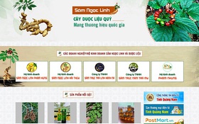 Quảng Nam: Xây dựng sàn thương mại điện tử sâm Ngọc Linh và nông sản đặc trưng