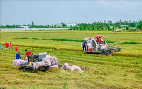 Lào Cai: Chuyển đổi số nông nghiệp đạt nhiều kết quả khả quan