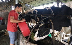Tăng cường nguồn lực để giảm nghèo bền vững