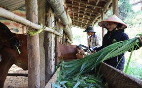 Mô hình cụ thể giúp người dân thoát nghèo bền vững