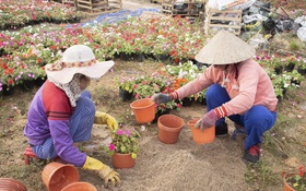 Chung tay nỗ lực giảm nghèo, đảm bảo an sinh xã hội