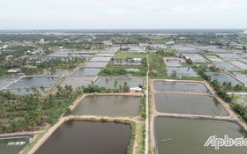 Huyện Tân Phú Đông (Tiền Giang): Thực hiện vượt chỉ tiêu kế hoạch giảm nghèo