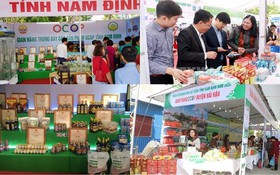 Nam Định: Hiệu quả thiết thực qua Tháng tiêu dùng số