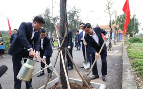 Ngành Thông tin và Truyền thông Bắc Ninh: Dâng hương tưởng nhớ các anh hùng liệt sỹ và phát động Tết trồng cây Xuân Giáp Thìn