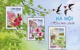 Bộ Thông tin và Truyền thông phát hành bộ tem  “Hà Nội 12 mùa hoa”