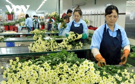 Lâm Đồng đẩy mạnh chuyển đổi số trong sản xuất, chế biến nông sản hữu cơ