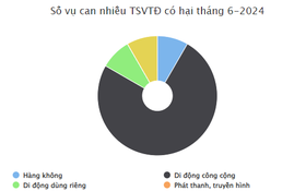 Số liệu quản lý tần số vô tuyến điện tháng 6/2024 và quý II/2024