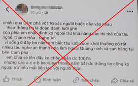 Quảng Ninh: Triệu tập đối tượng tung tin sai sự thật trên mạng xã hội về tình hình thiệt hại do cơn bão số 3