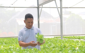 Đến Long An xem các HTX nông nghiệp giúp nông dân thoát nghèo