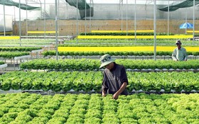 Bước “chuyển mình” trong nông thôn mới ở Lâm Đồng