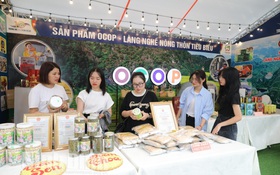 Tái cơ cấu nông nghiệp trong xây dựng nông thôn mới ở Ninh Bình