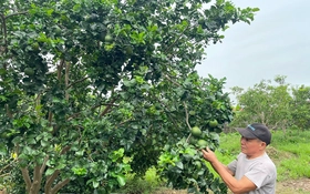 Không để gián đoạn nhiệm vụ xây dựng nông thôn mới