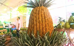 Cần Thơ: Nông thôn mới bứt phá nhờ khoa học công nghệ, chuyển đổi số và nông nghiệp thông minh