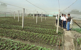 Long An tăng tốc chuyển đổi số nông nghiệp