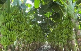 Thông báo về việc nghiệm thu đối với nhiệm vụ khoa học công nghệ cấp quốc gia, mã số 25/21-ĐTĐL.CN-CNN