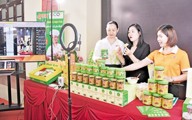 Nông dân Bắc Ninh từng bước làm chủ công nghệ số