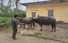 Giải pháp quyết định cho công cuộc giảm nghèo Khánh Hòa