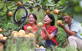 Bắc Ninh: Nông dân chuyển đổi số, kiến tạo nông thôn mới hiện đại