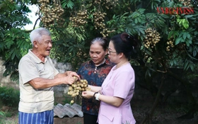 Nông thôn mới Hưng Yên chuyển mình cùng chính quyền địa phương 2 cấp