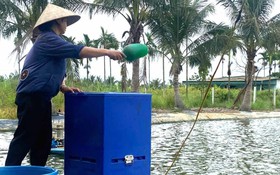 Nông dân Hải Phòng mạnh dạn vay vốn, làm giàu tại quê hương