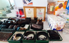 Cà Mau phê duyệt Chương trình hỗ trợ doanh nghiệp nâng cao năng suất, chất lượng giai đoạn 2026–2030