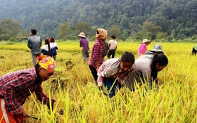 Nhiều kết quả nổi bật từ chương trình giảm nghèo bền vững